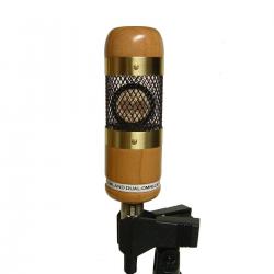 Wildwood Dreamland Microphone